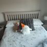 Double bed frame Image 2