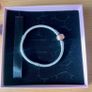 Pandora snake chain charm bracelet Image 7