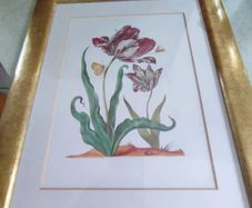 Framed Print Of Flower Still Life.