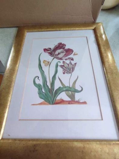 Framed Print Of Flower Still Life.