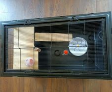 Little friends Grosvenor XL small animal cage