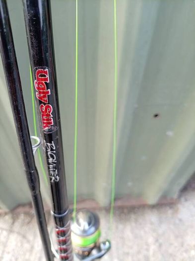 3 meter spinning rod with reel.