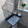 Black Bird/Parrot Cage Image 3