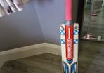 Cricket batt