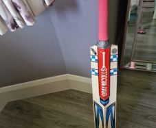 Cricket batt