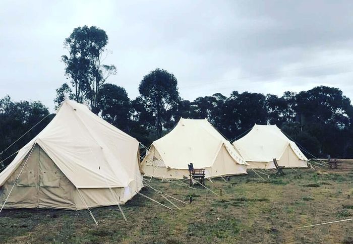Professional TC Bell Tents  New 2026 Model
