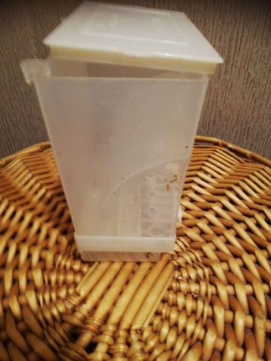 Bird  seed container