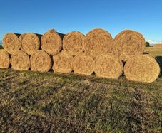 Hay