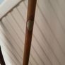 Walking sticks Image 5