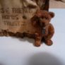 bears Image 5