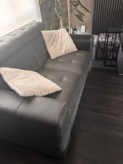 sofa bed and sofa