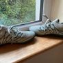 shoe girl umbro sports runner trainer size 34 grey Image 4