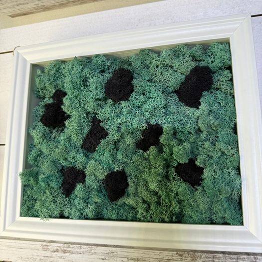 Frame 04 - 20x25cm natural moss