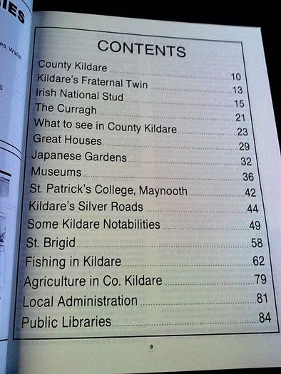 Official Guide to County Kildare Ireland Irish Old guide