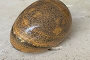 Vintage Marble Egg