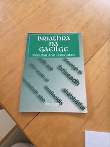 Briathra na gaeilge and grammar card