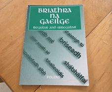 Briathra na gaeilge and grammar card