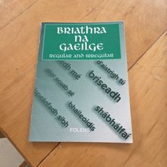 Briathra na gaeilge and grammar card
