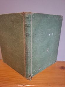 The Secret Island by Enid Blyton