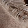 new boots suede with fringe from USA Image 9
