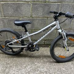 Specialized Hotrock
