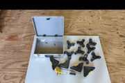 furniture moving kit