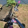 girls bike Image 3