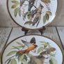 2 Decorative Plates "Songbirds of The World" Bohemian Waxwing And Baltimore Oriole Image 5