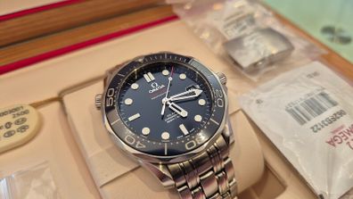 Omega Seamaster Diver 300