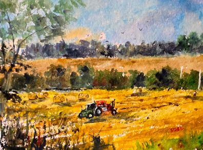 harvest watercolour