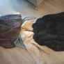 Trio Of Perfect Condition Rabbit Fur Coats,one Of A Kind,wont Be Found Again! Image 2