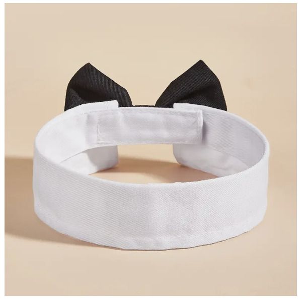 Halloween Costume