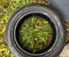 195 55 15 tyre / dated 2025