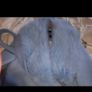 ZARA long blue belted coat XL BNWT Image 3