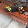Nike Air Max tuned 1 - kids size 13.5 uk Image 4