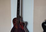 extremely rare Semi acoustic guitar