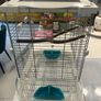 bird cage Vision Image 4