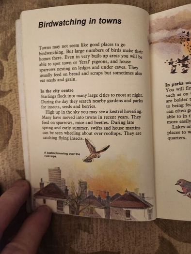 Whizz Kids. Birdwatching First Edition Vintage 1979 Paperback In Good Condition. 36.
