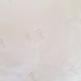 Dior Shoe Box, Dust Covers x2, Gift Card & Tissue Image 2