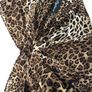 Leopard Print Dress Image 4