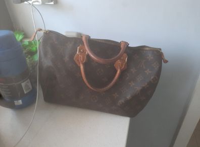 Louis Vuitton Speedy 35