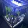 Fluval spec Image 2