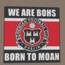 Bohemians FC Born To Moan Lightbox Image 3