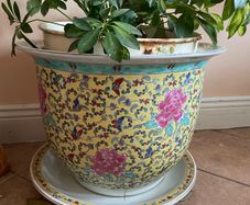 plant pots