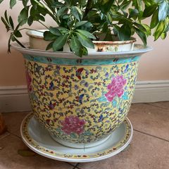 plant pots