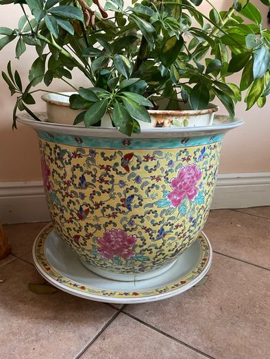 plant pots