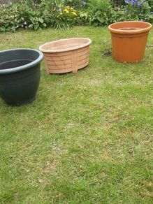 plant pots