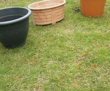 plant pots
