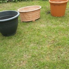 plant pots