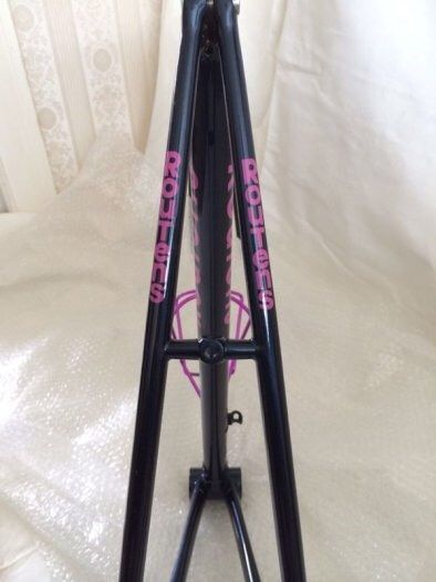 Vintage never ridden Steel Frame